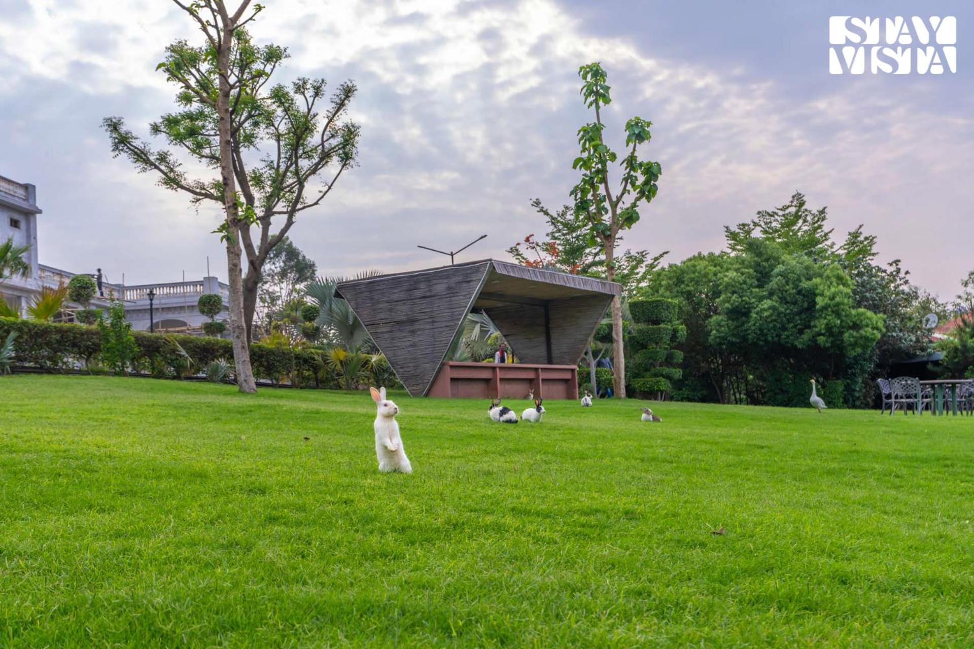 Stayvista At Maple Farms With Pool, Bbq & Bonfire Sohna Dış mekan fotoğraf
